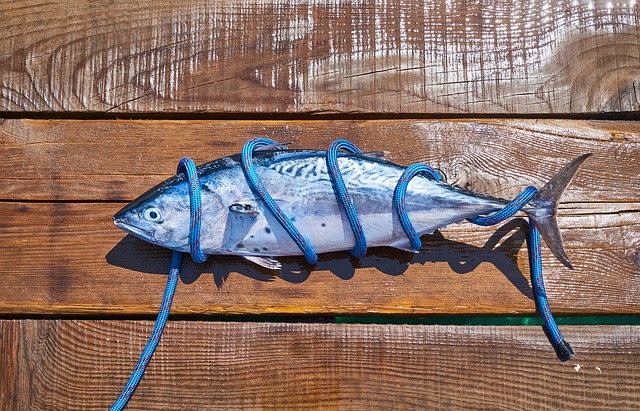 It is time the customer became responsible for the tuna