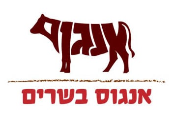 אנגוס